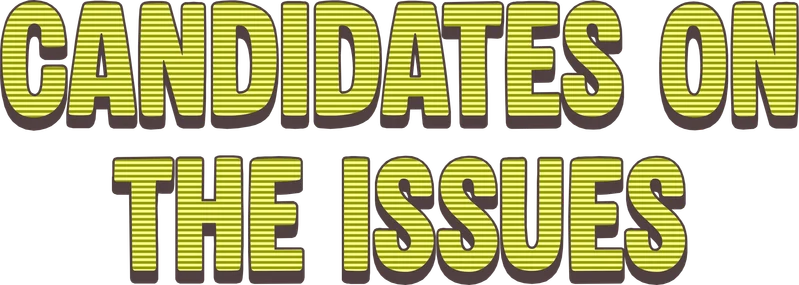 Candidates on the issues
